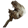 grimacing stone weapon no rest for the wicked wiki guide 100px