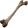 human bone upgrade materials no rest for the wicked wiki guide 100px